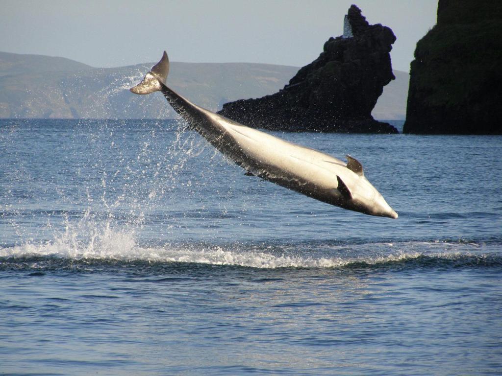 Dingle Skellig Hotel ภายนอก รูปภาพ